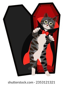 The Mysterious Dracula Cat and its Coffin Chronicles