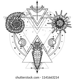 Mysterious drawing: shell, larva, molecule, sacred geometry. Esoteric, mysticism, occultism. Vector illustration isolated on a white background. Print, potser, t-shirt, card.