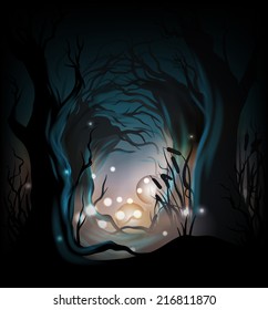 Mysterious forest background