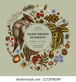 Mysterious forest circle design. Hand drawn waxwing, snail, pool frog, spruce branch, pine cones, insect, porcini, red currant, oak, rowan, forget me not flower, clover, shepherd s purse.