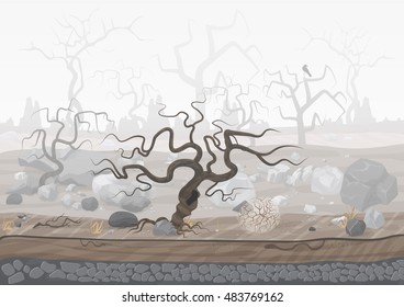 Mysterious forest in fog. Dark spooky halloween landscape scene