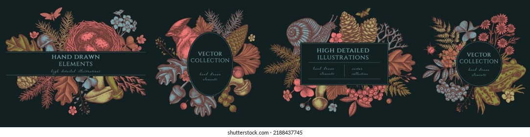 Mysterious forest hand drawn frame templates. Vintage illustrations of waxwing, snail, nest, pool frog, moss, spruce branch, pine cones, chamomile, insect, aspen mushroom, porcini, red currant, oak