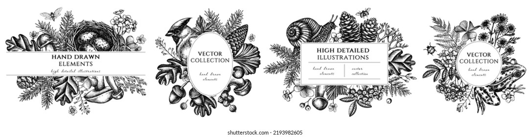 Mysterious forest hand drawn frame templates. Vintage illustrations of waxwing, snail, nest, pool frog, moss, spruce branch, pine cones, chamomile, insect, aspen mushroom, porcini, red currant, oak