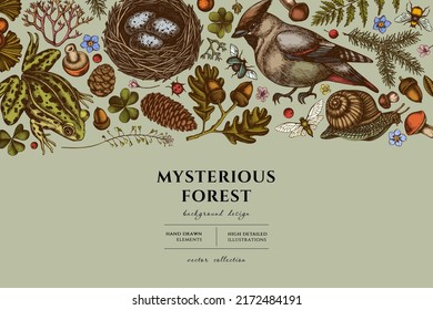 Mysterious forest hand drawn illustration design. Background with retro waxwing, snail, nest, pool frog, moss, spruce branch, pine cones, insect, aspen mushroom, oak, ginkgo, forget me not flower