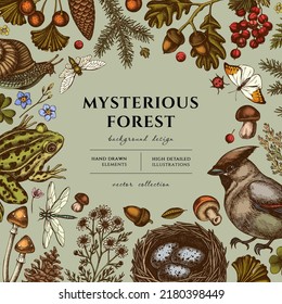 Mysterious forest hand drawn illustration design. Background with retro waxwing, snail, nest, pool frog, moss, spruce branch, pine cones, chamomile, mushrooms, insect, porcini, red currant, oak