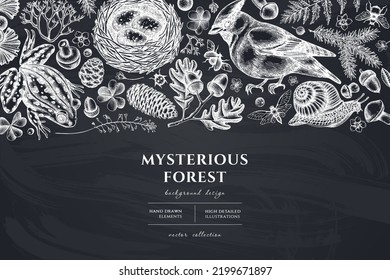 Mysterious forest hand drawn illustration design. Background with chalk waxwing, snail, nest, pool frog, moss, spruce branch, pine cones, insect, aspen mushroom, oak, ginkgo, forget me not flower