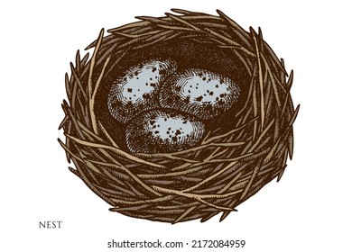 Mysterious forest hand drawn vector illustrations collection. Colored nest.