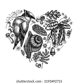 Mysterious forest heart vintage design. Hand drawn waxwing, snail, pool frog, insect, porcini, oak, rowan, forget me not flower, clover, shepherd s purse.