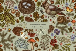 Mysterious Forest Seamless Pattern Background Design. Engraved Style. Hand Drawn Waxwing, Snail, Nest, Pool Frog, Moss, Spruce Branch, Pine Cones, Chamomile, Insect, Aspen Mushroom, Red Currant, Oak