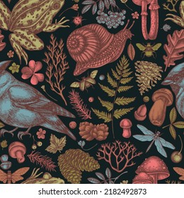 Mysterious forest seamless pattern background design. Engraved style. Hand drawn waxwing, snail, pool frog, moss, spruce branch, pine cones, mushrooms, insect, porcini, oak, rowan, clover, fern.