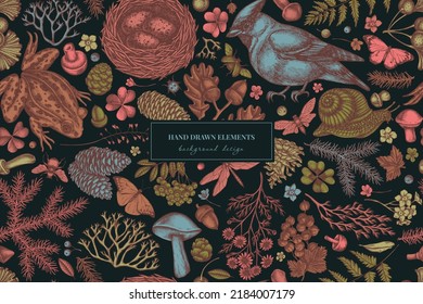 Mysterious forest seamless pattern background design. Engraved style. Hand drawn waxwing, snail, nest, pool frog, moss, spruce branch, pine cones, chamomile, insect, aspen mushroom, red currant, oak