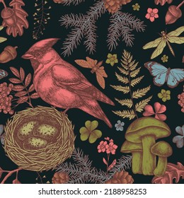 Mysterious forest seamless pattern background design. Engraved style. Hand drawn waxwing, nest, spruce branch, pine cones, insect, aspen mushroom, oak, rowan, forget me not flower, plain tiger