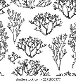 Mysterious forest seamless pattern background design. Engraved style. Hand drawn moss.