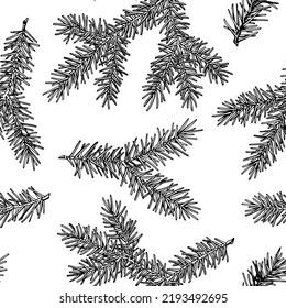 Mysterious forest seamless pattern background design. Engraved style. Hand drawn spruce branch.