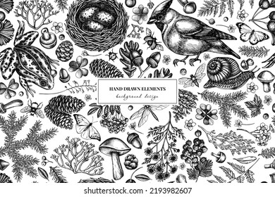 Mysterious forest seamless pattern background design. Engraved style. Hand drawn waxwing, snail, nest, pool frog, moss, spruce branch, pine cones, chamomile, insect, aspen mushroom, red currant, oak