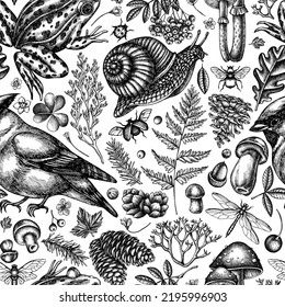 Mysterious forest seamless pattern background design. Engraved style. Hand drawn waxwing, snail, pool frog, moss, spruce branch, pine cones, mushrooms, insect, porcini, oak, rowan, clover, fern.