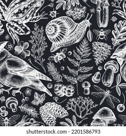 Mysterious forest seamless pattern background design. Engraved style. Hand drawn waxwing, snail, pool frog, moss, spruce branch, pine cones, mushrooms, insect, porcini, oak, rowan, clover, fern.