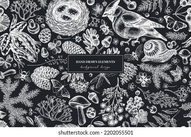 Mysterious forest seamless pattern background design. Engraved style. Hand drawn waxwing, snail, nest, pool frog, moss, spruce branch, pine cones, chamomile, insect, aspen mushroom, red currant, oak