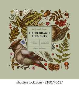 Mysterious forest square card invitation design  Frame design and waxwing  snail  pool frog  moss  spruce branch  pine cones  insect  aspen mushroom  oak  rowan  forget me not flower  fern 