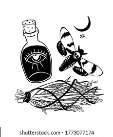 Mysterious halloween set. Hand drawn stock vector illustration. Bottle, butterfly dead head, magic plants and moon. Retro style ink sketch.