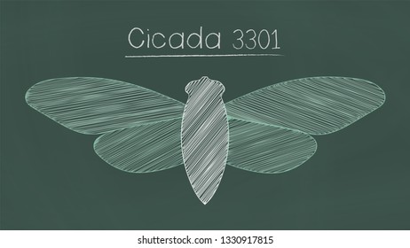 Mysterious organization cicada 3301  vector illustration, chalkboard style.