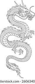 Mysterious oriental dragon line drawing illustration