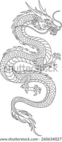 Mysterious oriental dragon line drawing illustration