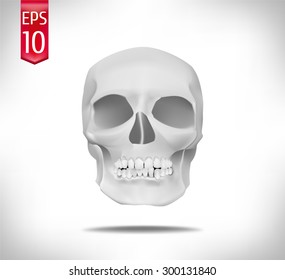 mysterious skull. mysticism