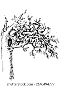 Mysterious tree with tangled branches for T-shirt design or outwear. Tattoo Design. 