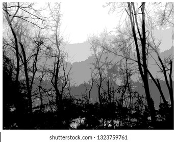 mysterious winter forest in the fog vector
