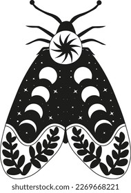 Mystery Moon Moth vector illustration. Magic floral insect on white background.