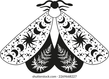 Mystery Moon Moth vector illustration. Magic floral insect on white background.