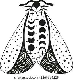 Mystery Moon Moth vector illustration. Magic floral insect on white background.