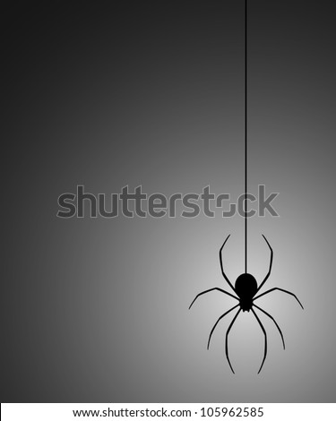 Mystery spider