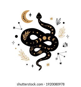 Mystic animal, moon floral serpent, celestial snake, mystical moon, stars isolated. Black gold colors. Floral snake Rustic serpent, flowers, leaves, moon. Halloween boho element. Vector illustration.