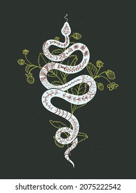 Mystic black print with snake and strawberry plant, vector illustration in trendy linear, silhouette minimal style. Vector interior poster trendy abstract illustration with magical and mystical symbol