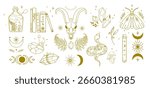 Mystic Boho Elements Collection in Line Art Style. Occult symbols crystals, goat skull, Wicca books, serpent, herbs, potion,moon phases, for tattoo, print, branding, posters, spiritual content. Vector