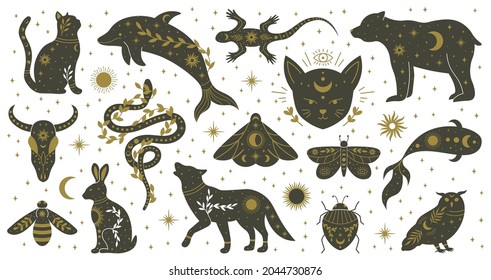 Mystic boho witchcraft hand drawn animals and moths insects. Witchcraft magical dolphin, bear, lizard, snake and moth vector illustration set. Mythological wildlife animals. Wild spirituality reptile