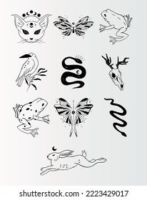 Mystic boho witchcraft hand drawn animals and butterfly. Mythological wildlife animals. Wild spirituality reptile