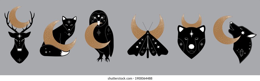 mystic collection of  woodland animals with crescent moon. Moth, bear, wolf, fox, deer, owl. Celestial elements. Vector magic animal set. Boho Woodland Wildlife