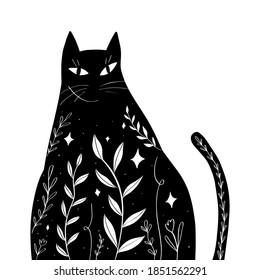 Mystic Hand Drawn Cat Vector Illustration