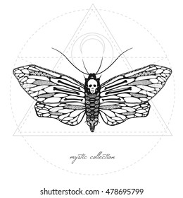 mystic illustration with dead head moth, vector butterfly with mystic signs, vector illustration