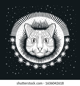 Mystic magic cat. Portrait face head hand drawn vintage style.Line art ink painting.Graphic design tatoo.Vector illustration.