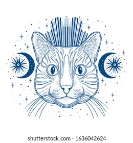 Mystic magic cat. Portrait face head hand drawn vintage style.Line art ink painting.Graphic design tatoo.Vector illustration.