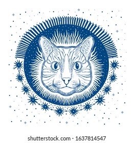 Mystic magic cat. Portrait face head hand drawn vintage style.Line art ink painting.Graphic design tatoo.Vector illustration.