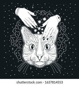 Mystic magic cat. Portrait face head hand drawn vintage style.Line art ink painting.Graphic design tatoo.Vector illustration.