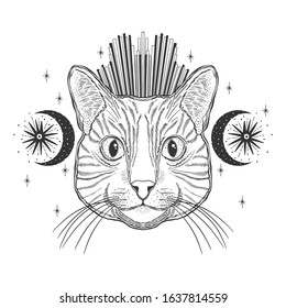 Mystic magic cat. Portrait face head hand drawn vintage style.Line art ink painting.Graphic design tatoo.Vector illustration.