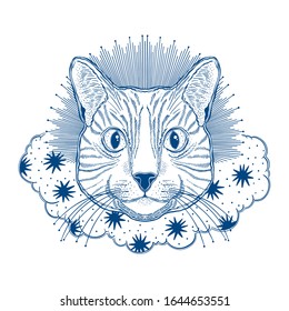 Mystic magic cat. Portrait face head hand drawn vintage style.Line art ink painting.Graphic design tattoo. Vector illustration.