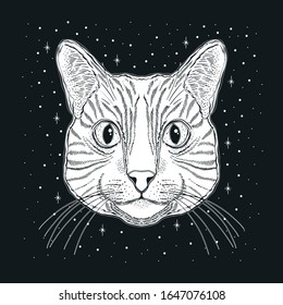 Mystic magic cat. Portrait face head hand drawn vintage style.Line art ink painting.Graphic design tatoo.Vector illustration.