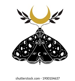 Mystic Moon moth linocut style card. Vector illustration hand drawn